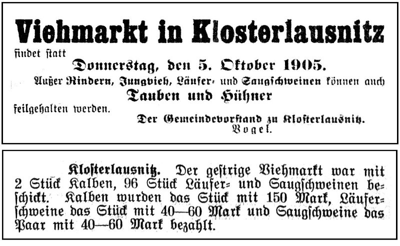 1905-10-05 Kl Viehmarkt